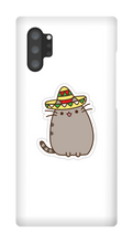 Kitty Tako Case