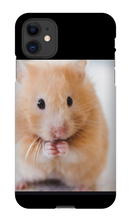 buckeyegamer10 iPhone Phone Cases