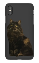 katten23cool iPhone Phone Cases