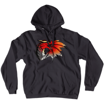 Hoodies (No-Zip/Pullover)