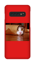 Funny Taco Cat Samsung Phone Case