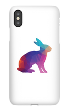 Conejo Arcoiris Funda iPhone