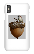 birds_and_squirrels iPhone Phone Cases