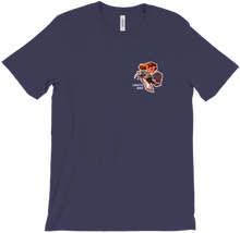Hylian Robs Shirt (Pocket Size)
