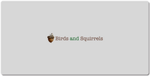 birds_and_squirrels XXL Gaming Mousepad