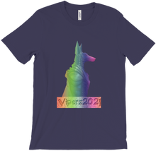 viperz2021 multi colour logo