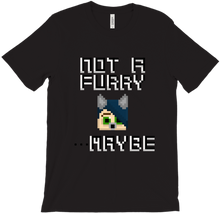 No History T-Shirt - Not A Furry