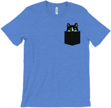Pocket Aurora