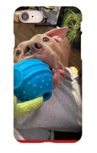 doggoasmr iPhone Phone Cases