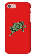 Clover Koala iPhone Phone Cases