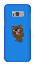 BEAR CASE