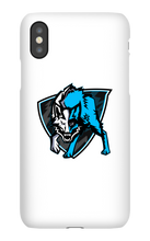 fr0stab0t iPhone Phone Cases