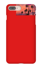 palm seas limited case