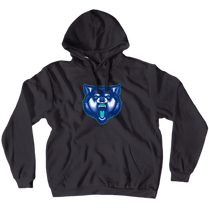 Team Frost Logo Hoodie