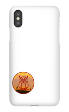 jl016 iPhone Phone Cases