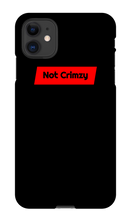 pt_not_a_qt iPhone Phone Cases