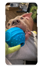 doggoasmr iPhone Phone Cases