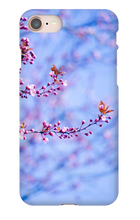 tanikohorigome iPhone Phone Cases