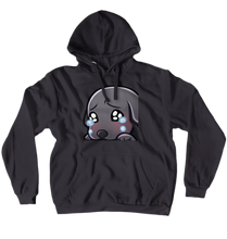 Hoodies (No-Zip/Pullover)