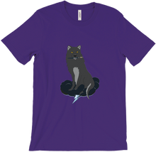 storminwolf-7088 T-Shirts
