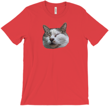 raduconstantin T-Shirts