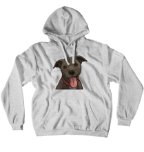 izzy22x Hoodies (No-Zip/Pullover)