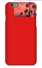 palm seas limited case