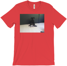 denunesgaming T-Shirts