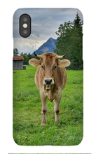 Iphone Phone Case Bavaria Cow