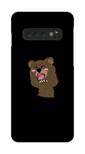 BEAR CASE