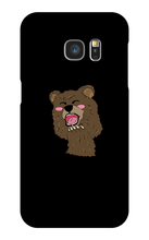BEAR CASE
