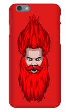 Beard case