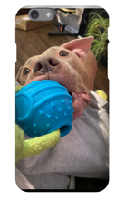 doggoasmr iPhone Phone Cases