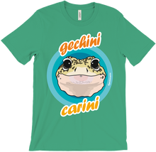 Gechini Carini - Colori accesi