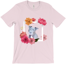 T-Shirts xenita