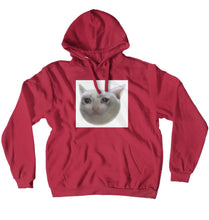 cat crying hoodie :)