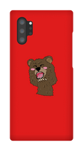 BEAR CASE