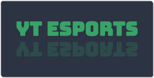 YT ESPORTS XXL Gaming Mousepad