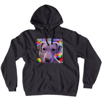 bil5000 Hoodies (No-Zip/Pullover)
