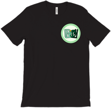 NiSO4 Logo