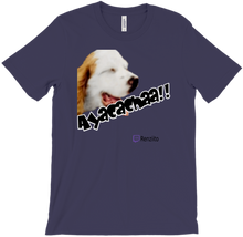 Ayacacha T-Shirts