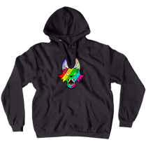 Big rainbow logo hoodie
