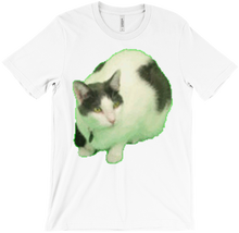Scuffed Kitty