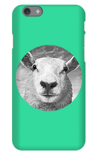 GraySheep  iPhone Cases