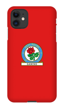 ozzypaynegaming iPhone Phone Cases