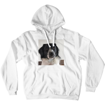 Storm Hoodie
