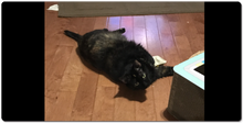 Little Bit extra large mousepad