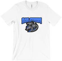 hailstormgaming T-Shirts