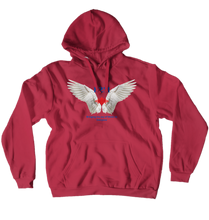 djh2m Hoodies (No-Zip/Pullover)