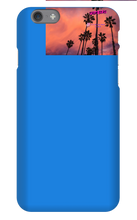palm seas limited case